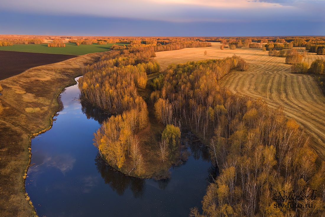 Золотая осень в Омской области