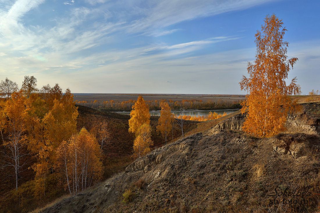 Золотая осень в урочище Берег Драверта, Омская область
