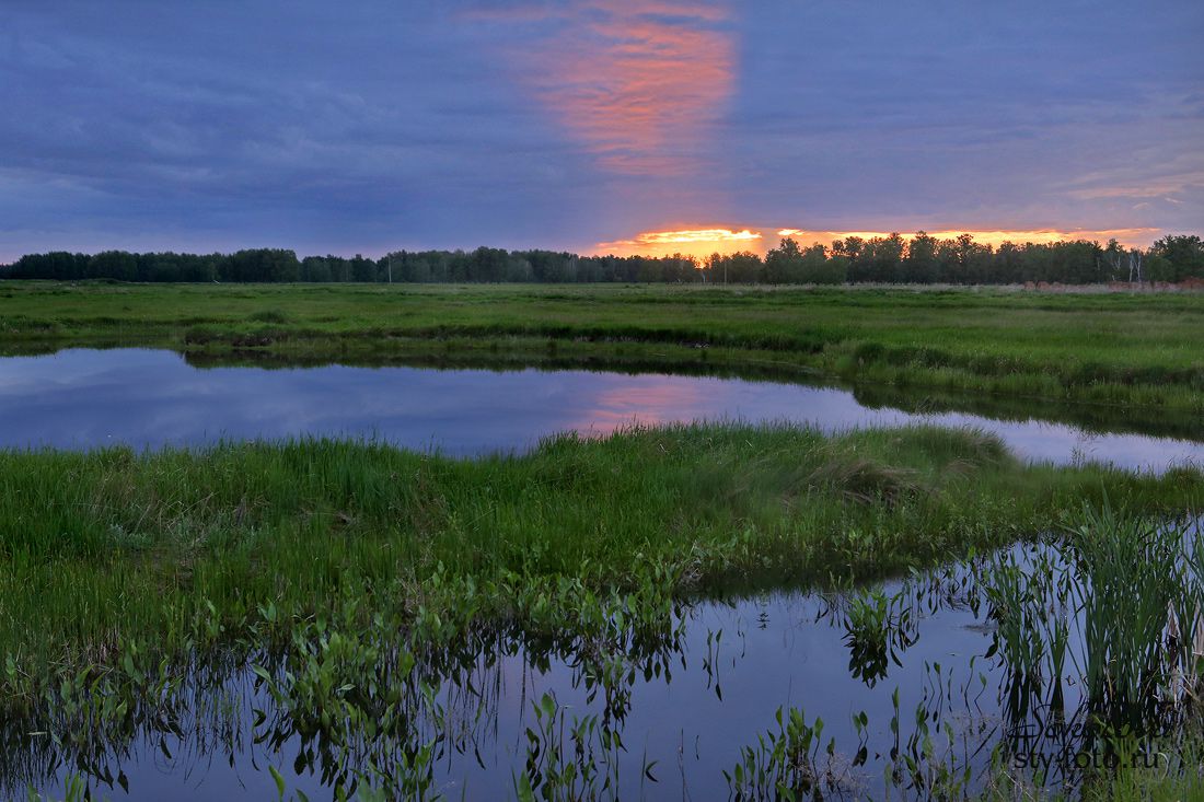 Летний закат в д. Никоновка Горьковский район, Омская область