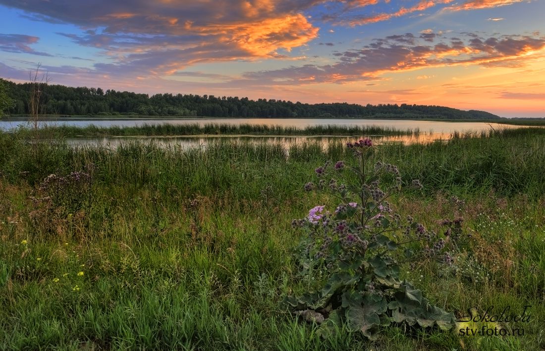 Закат на озере.   д. Саратово, Горьковский район. Омская область